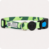 COMBO GATO - CORREA + LOCALIZADOR CON CÓDIGO QR