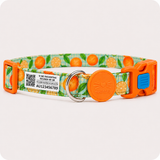 COMBO GATO - CORREA + LOCALIZADOR CON CÓDIGO QR
