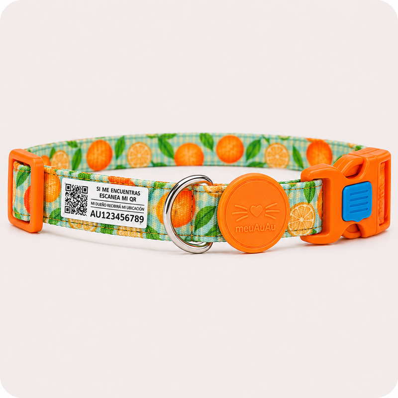 COMBO GATO - CORREA + LOCALIZADOR CON CÓDIGO QR