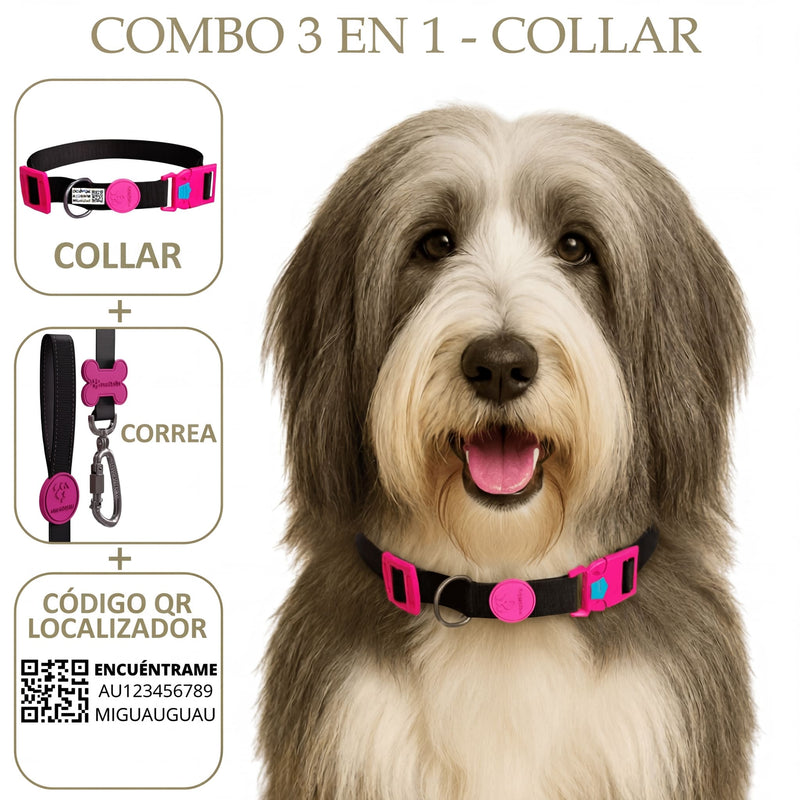 COMBO 3 EN 1: COLLAR + CORREA + LOCALIZADOR CON CÓDIGO QR