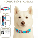 COMBO 3 EN 1: COLLAR + CORREA + LOCALIZADOR CON CÓDIGO QR