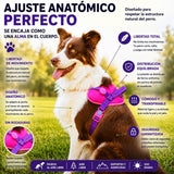 Arnés Safe meuAuAu con Localizador QR – Acolchado, Asa de Control y Portabolsas