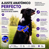 Arnés Safe meuAuAu con Localizador QR – Acolchado, Asa de Control y Portabolsas