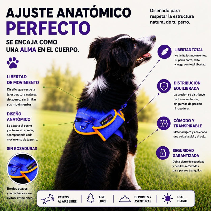 Arnés Safe meuAuAu con Localizador QR – Acolchado, Asa de Control y Portabolsas