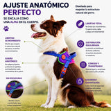 Arnés Safe meuAuAu con Localizador QR – Acolchado, Asa de Control y Portabolsas