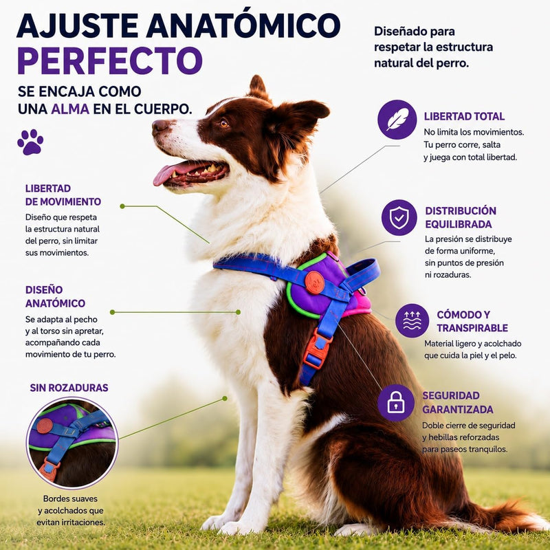 Arnés Safe meuAuAu con Localizador QR – Acolchado, Asa de Control y Portabolsas