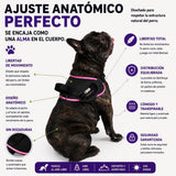 Arnés Safe meuAuAu con Localizador QR – Acolchado, Asa de Control y Portabolsas