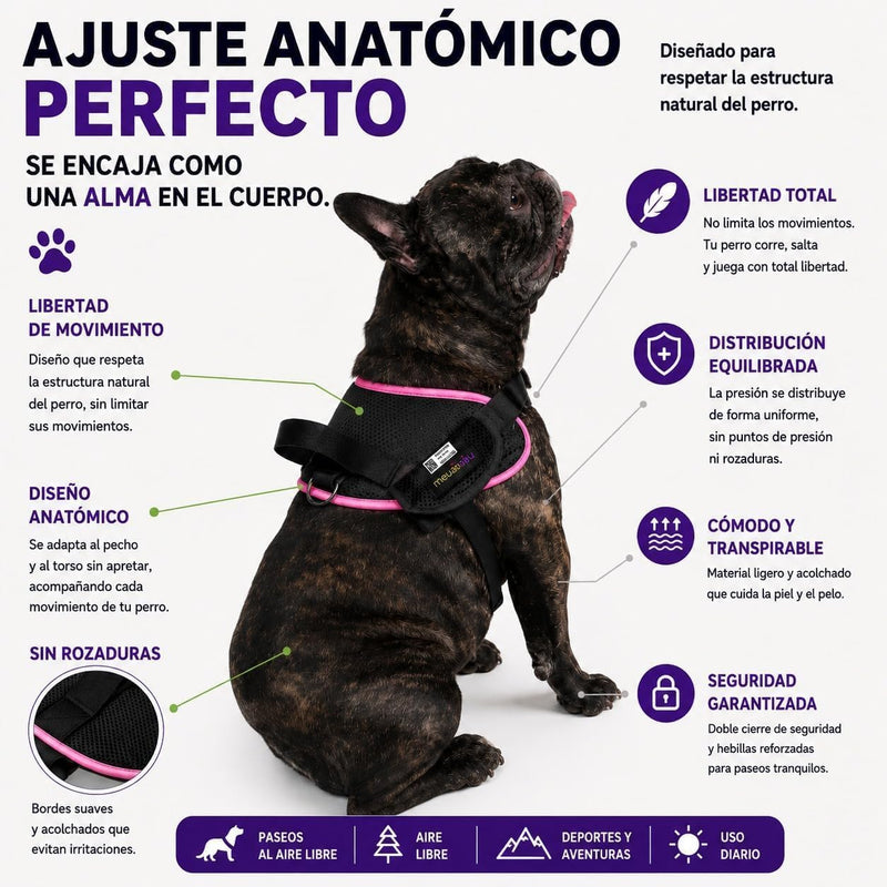 Arnés Safe meuAuAu con Localizador QR – Acolchado, Asa de Control y Portabolsas