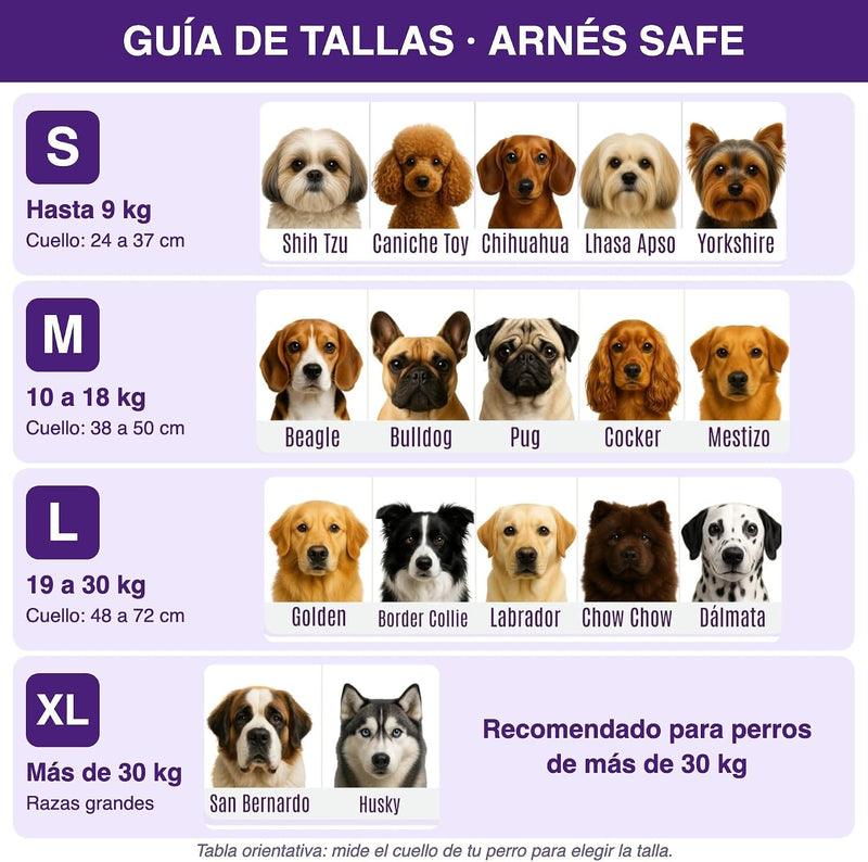 Arnés Safe meuAuAu con Localizador QR – Acolchado, Asa de Control y Portabolsas