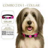 COMBO 2 EN 1 - COLLAR + LOCALIZADOR