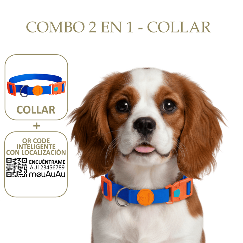 COMBO 2 EN 1 - COLLAR + LOCALIZADOR