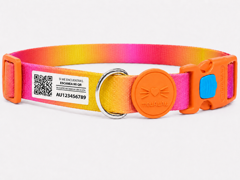 COMBO GATO - CORREA + LOCALIZADOR CON CÓDIGO QR