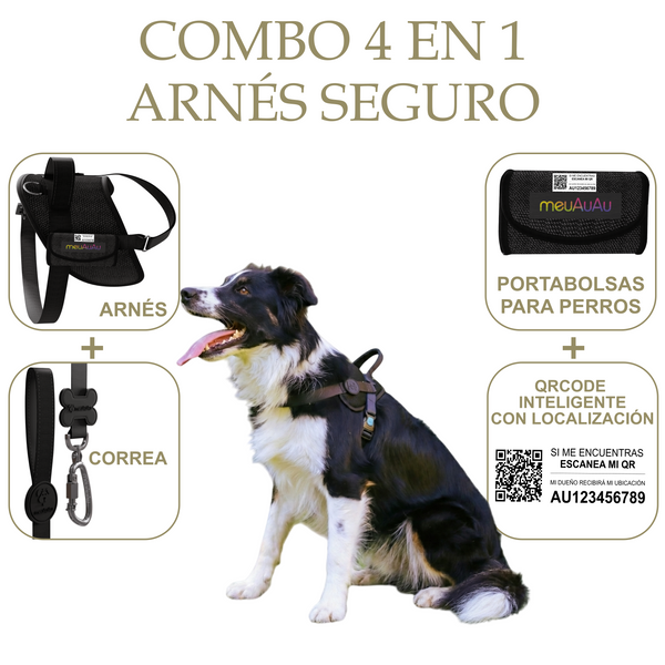 COMBO 4 EN 1 - ARNÉS SEGURO