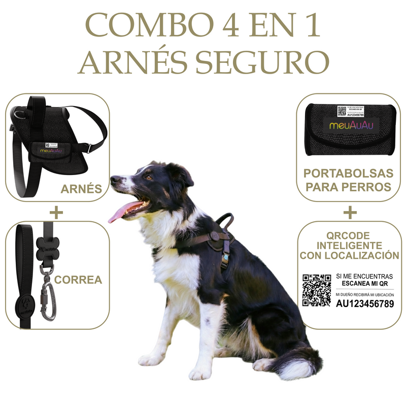 COMBO 4 EN 1 - ARNÉS SEGURO