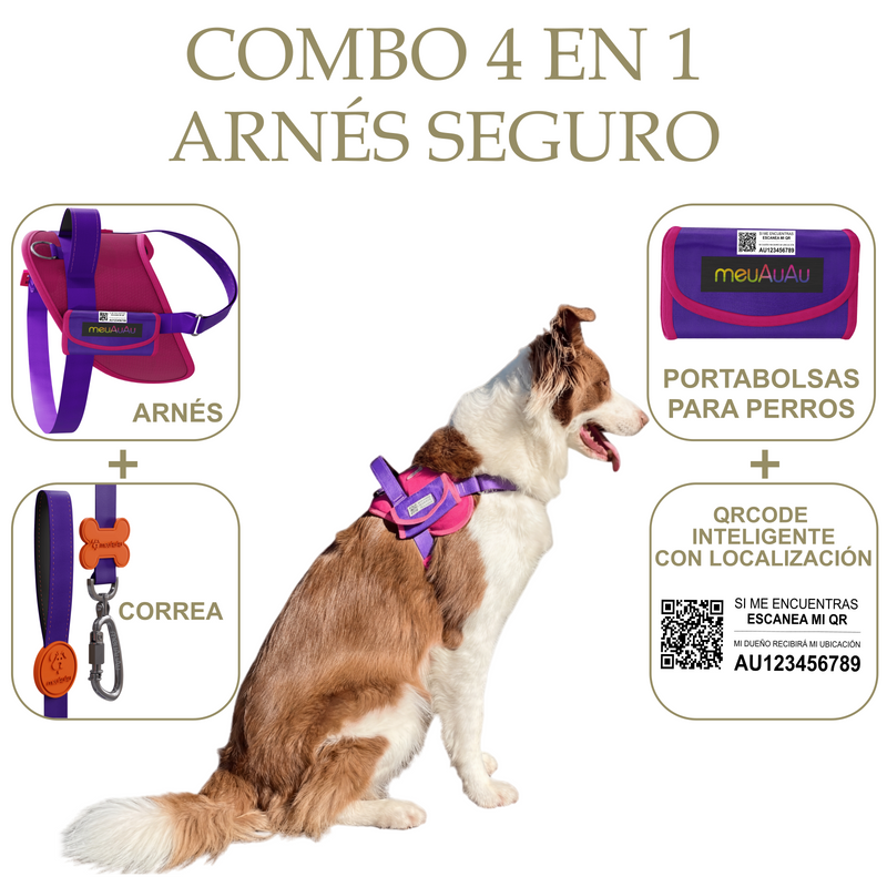 COMBO 4 EN 1 - ARNÉS SEGURO