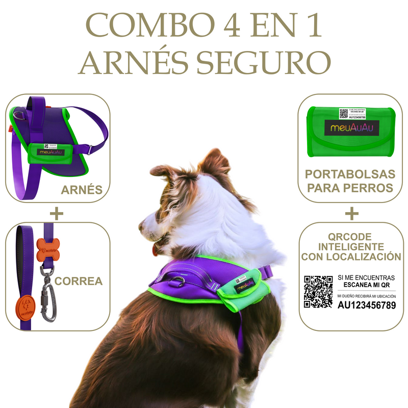 COMBO 4 EN 1 - ARNÉS SEGURO